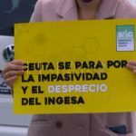 Ingesa 4