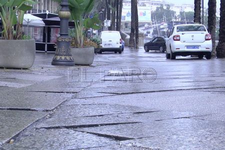 paseo-palmeras