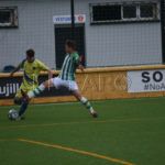 polillas-5
