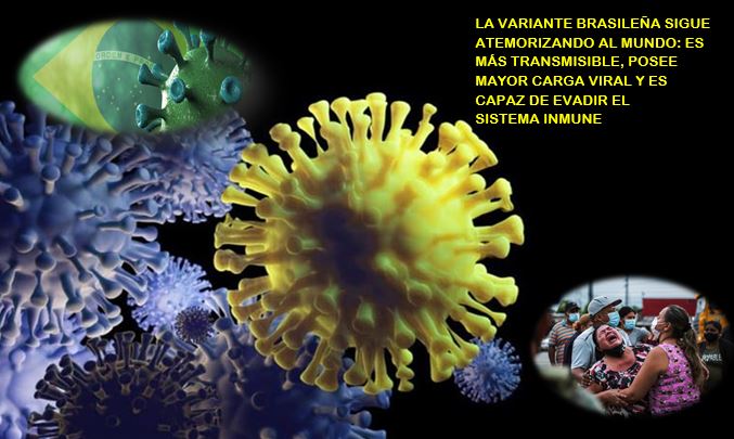brasil-convierte-entramado-variantes-sars-cov-2-2