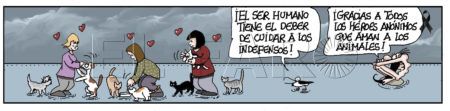 miercoles-10-marzo-2021