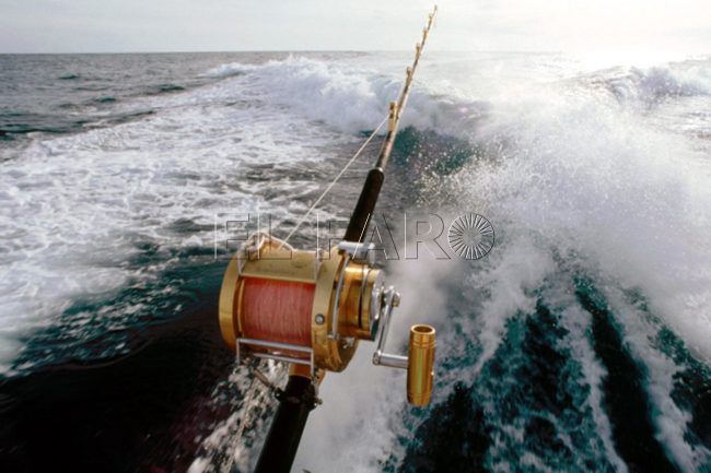 Anavre presenta propuestas para el nuevo reglamento de pesca recreativa