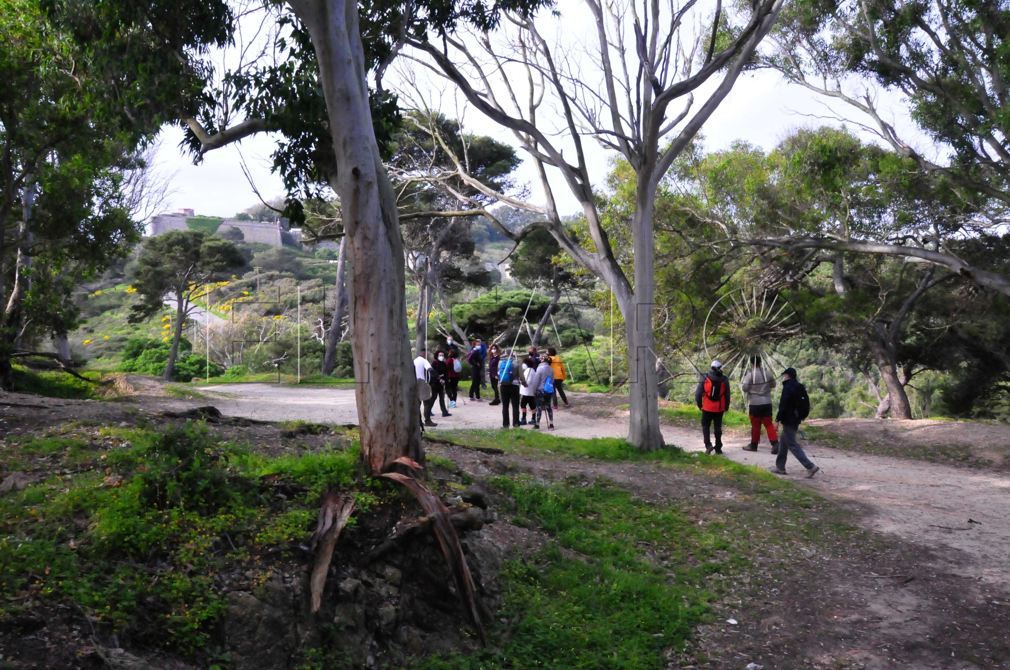 senderismo-hacho-monte-abyla-ocionatura-5
