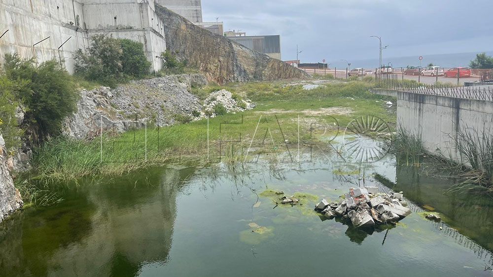 charca-olores-ranas-torres-hacho-5