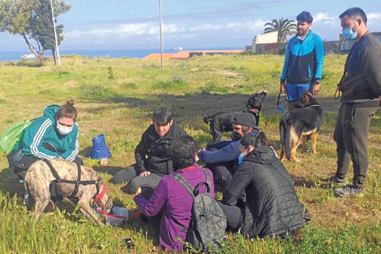 miel-galga-2