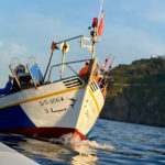 pesqueros-marroquies-delfin-1