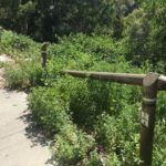 sendero-parque-san-amaro-9