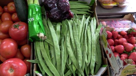 comercio-supermercado-sandra-13