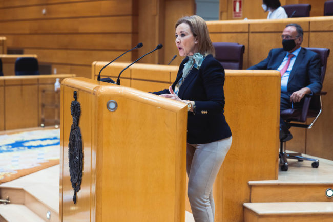 Vox insta al Gobierno a “atajar” los «déficits» del área de salud mental en Ceuta