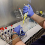 Micro-analisis-clinico