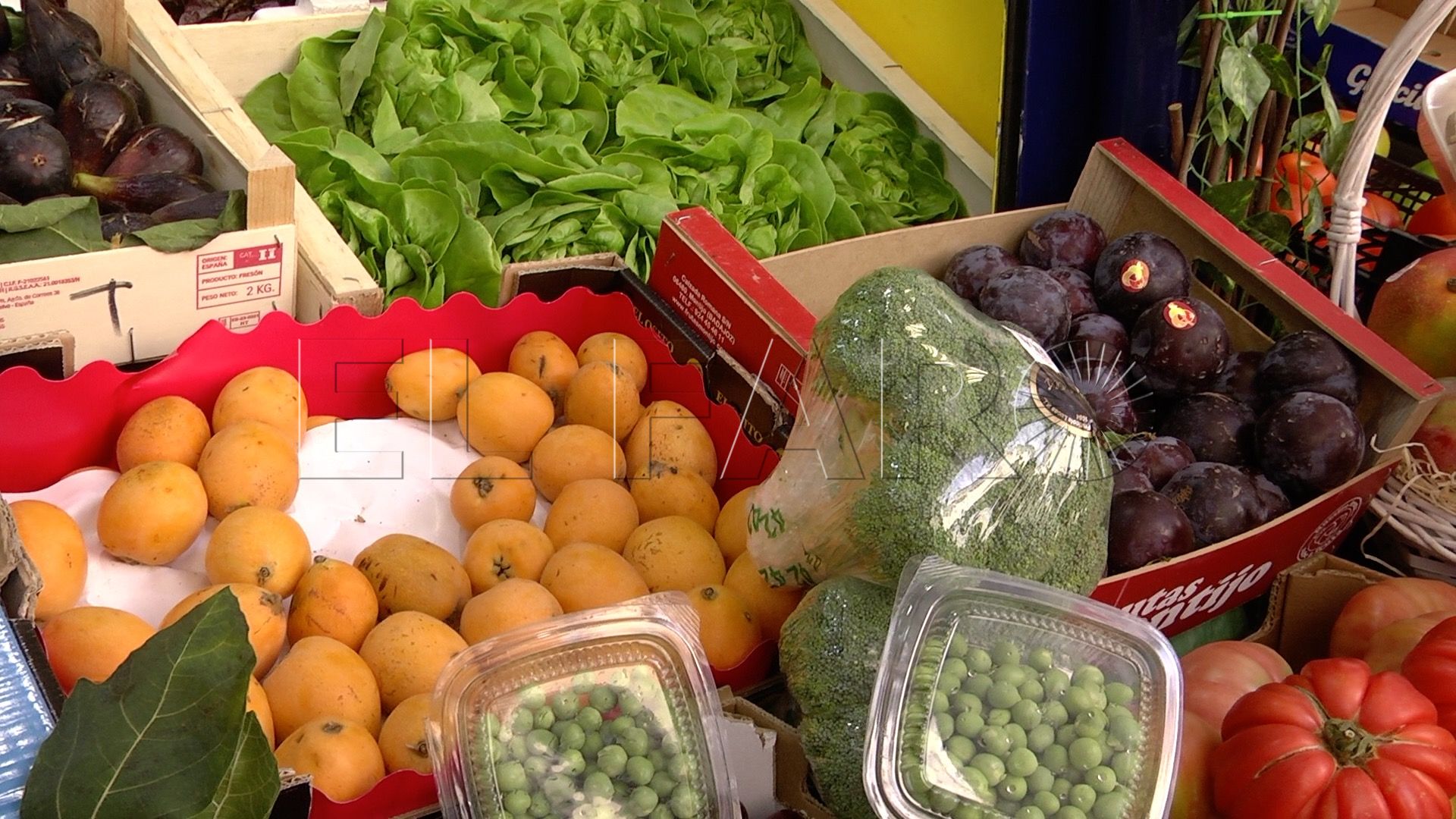 fruteria-afri-comercio-15