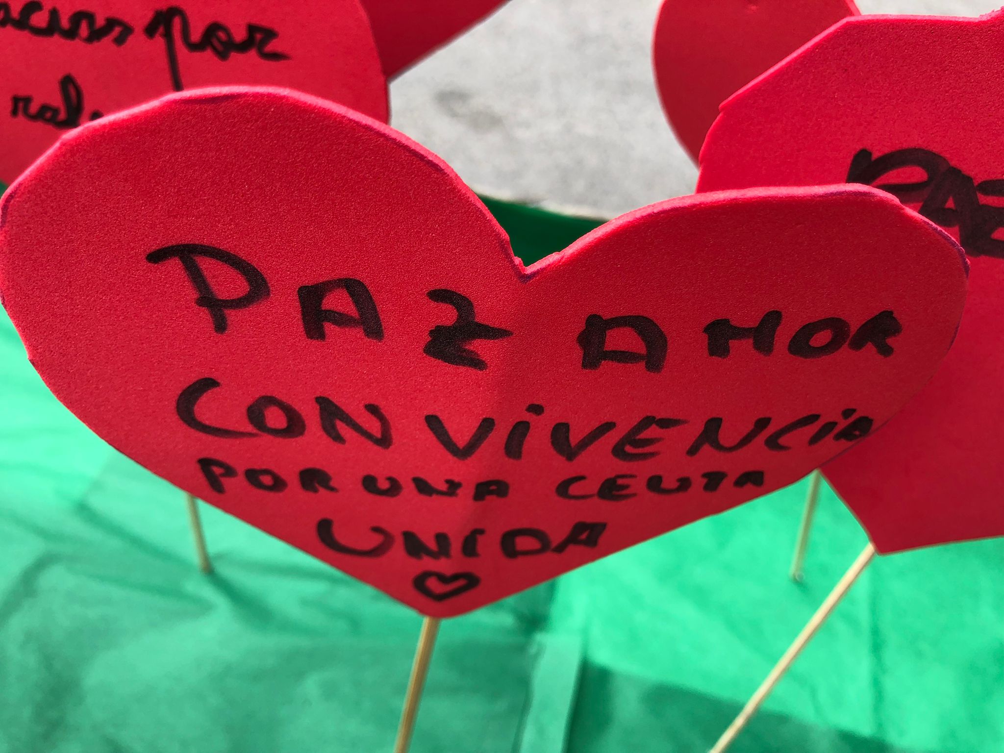 Los mensajes contra el racismo, en las flores del jardín de ‘La Esperanza’