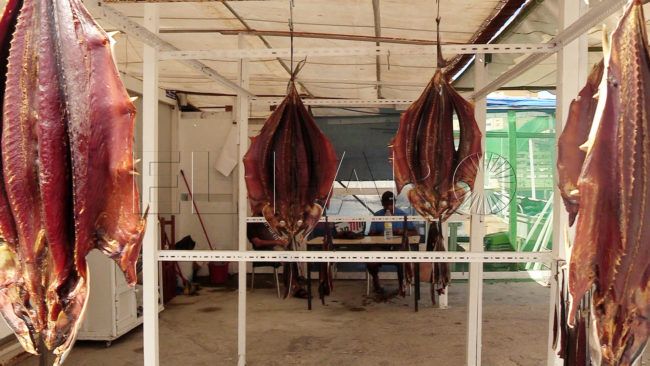 Salazones y volaores de Ceuta, una tradición que perdura en el tiempo