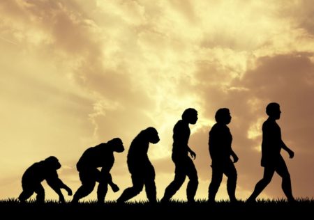 evolucion-ser-humano