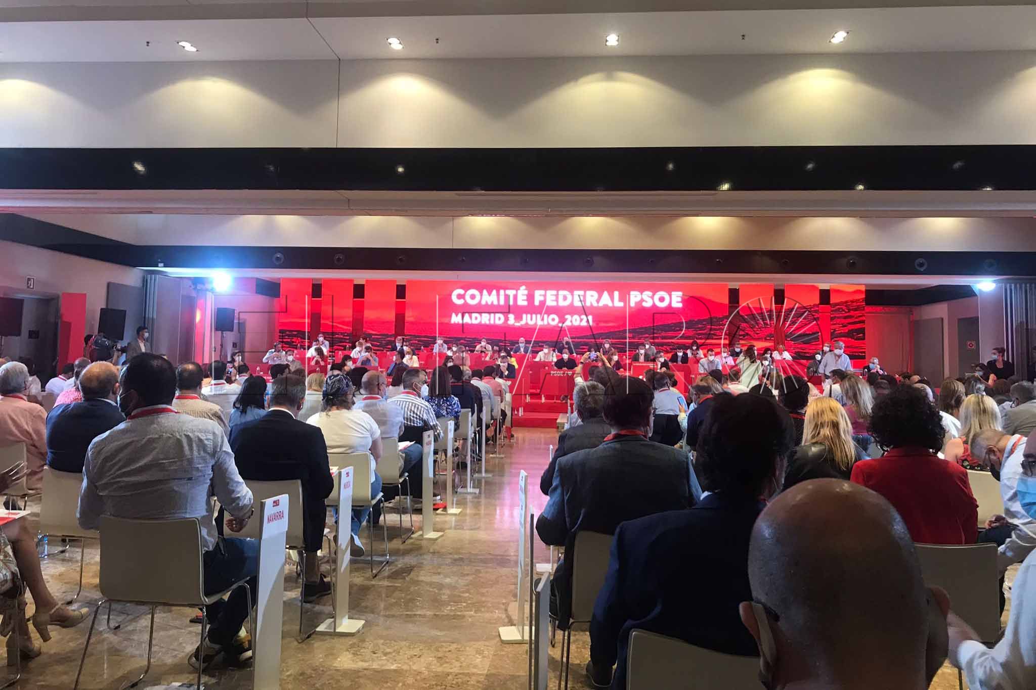 hernandez-comite-psoe3
