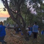 amanecer-scout-1