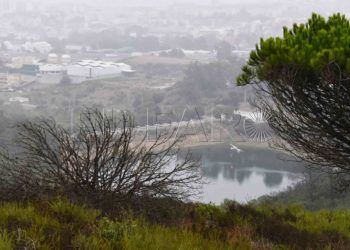 pantano