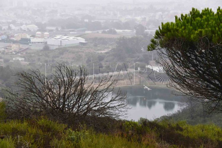 pantano