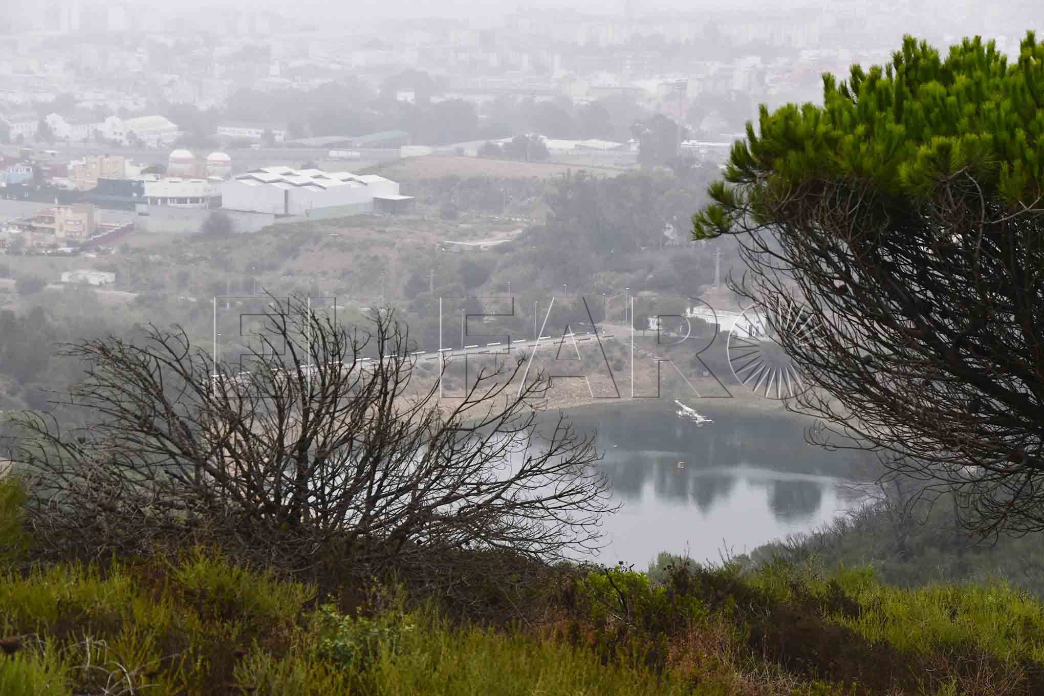 pantano