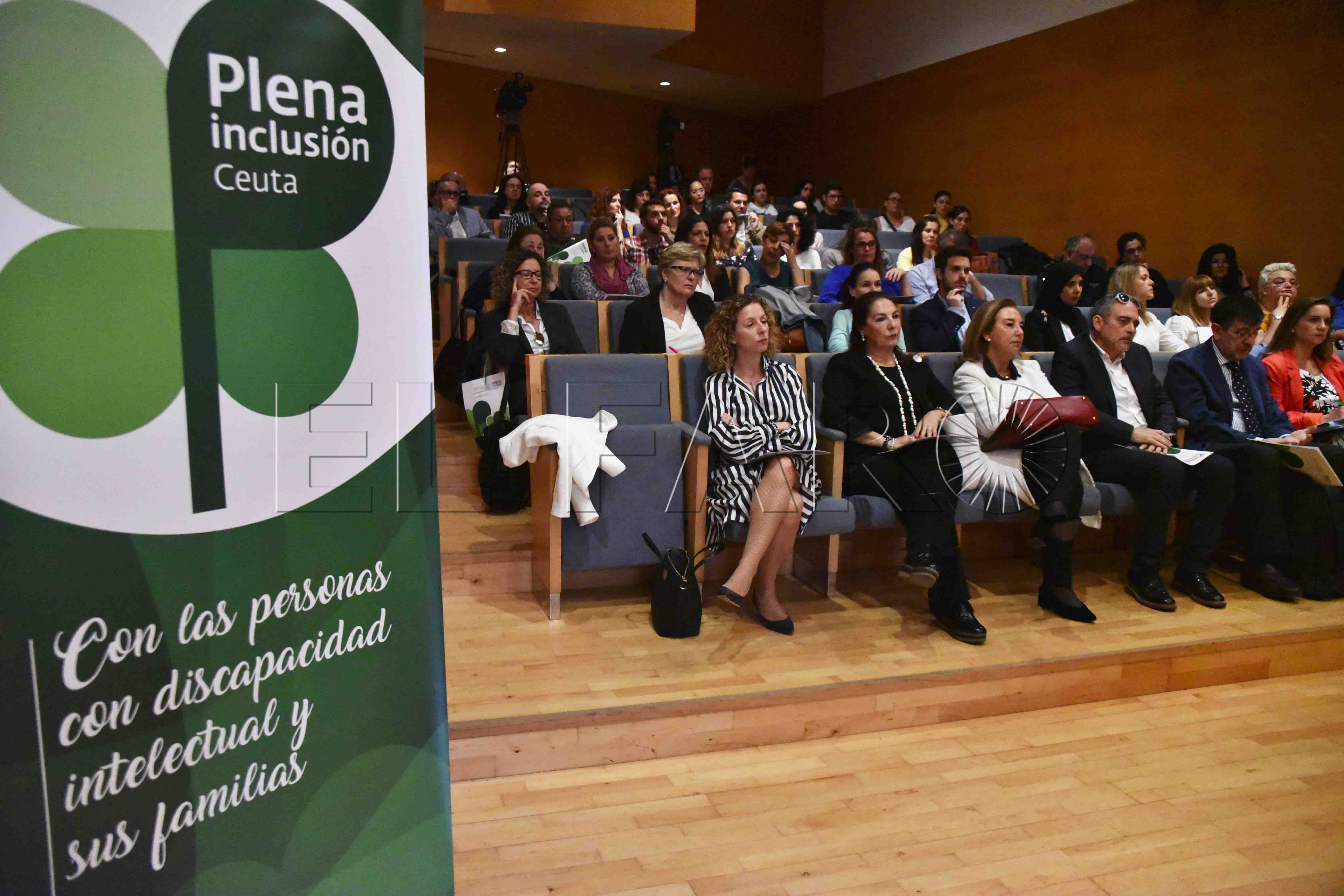 plena-inclusion