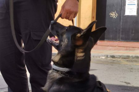 policias