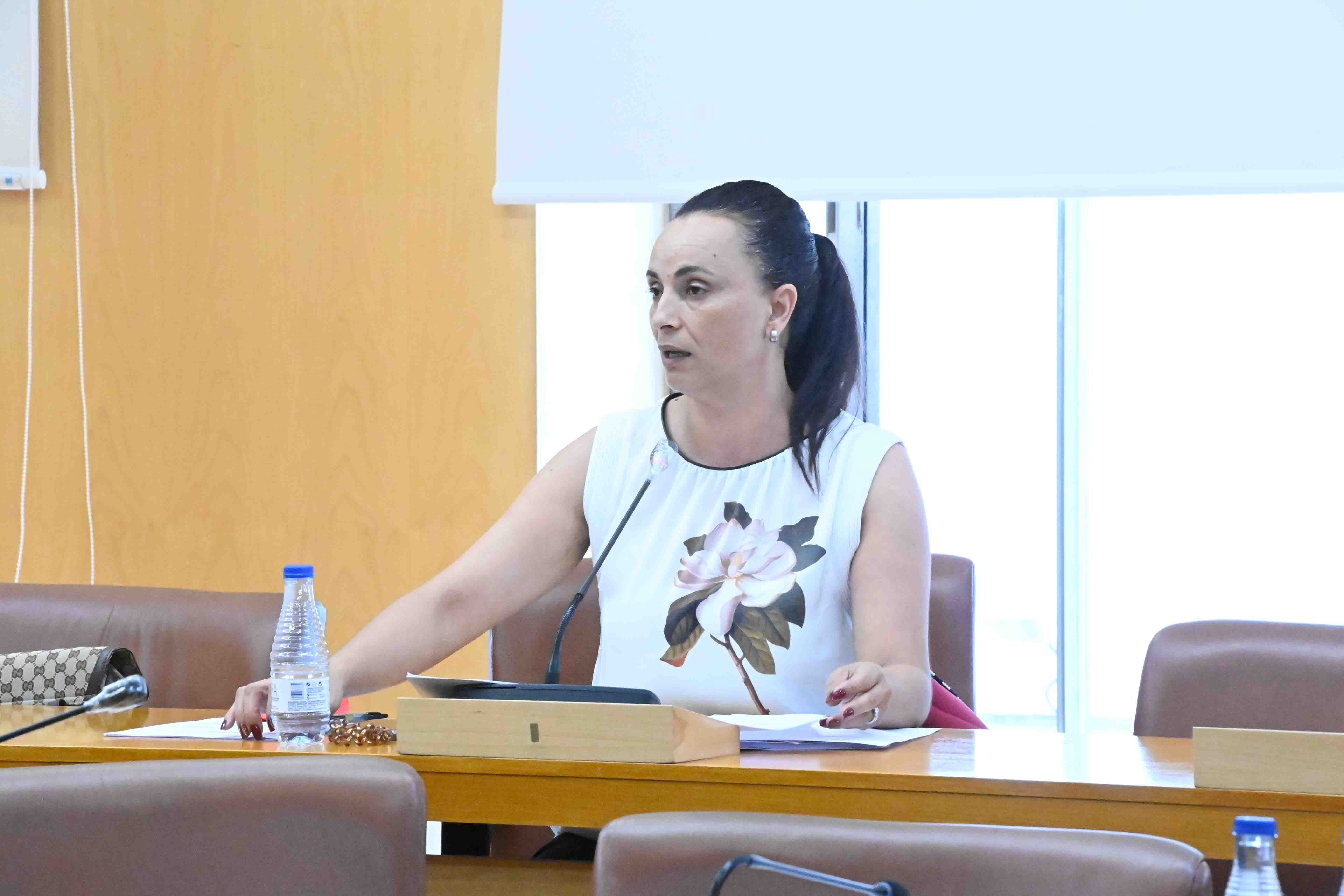 En Ceuta 138 mujeres víctimas de violencia de género están bajo protección policial