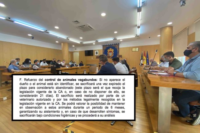 Sanidad insiste en que los sacrificios masivos están descartados