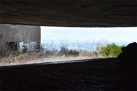 monte-tortuga-1