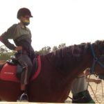 plena-inclusion-hipoterapia0