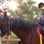 plena-inclusion-hipoterapia10
