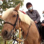 plena-inclusion-hipoterapia18