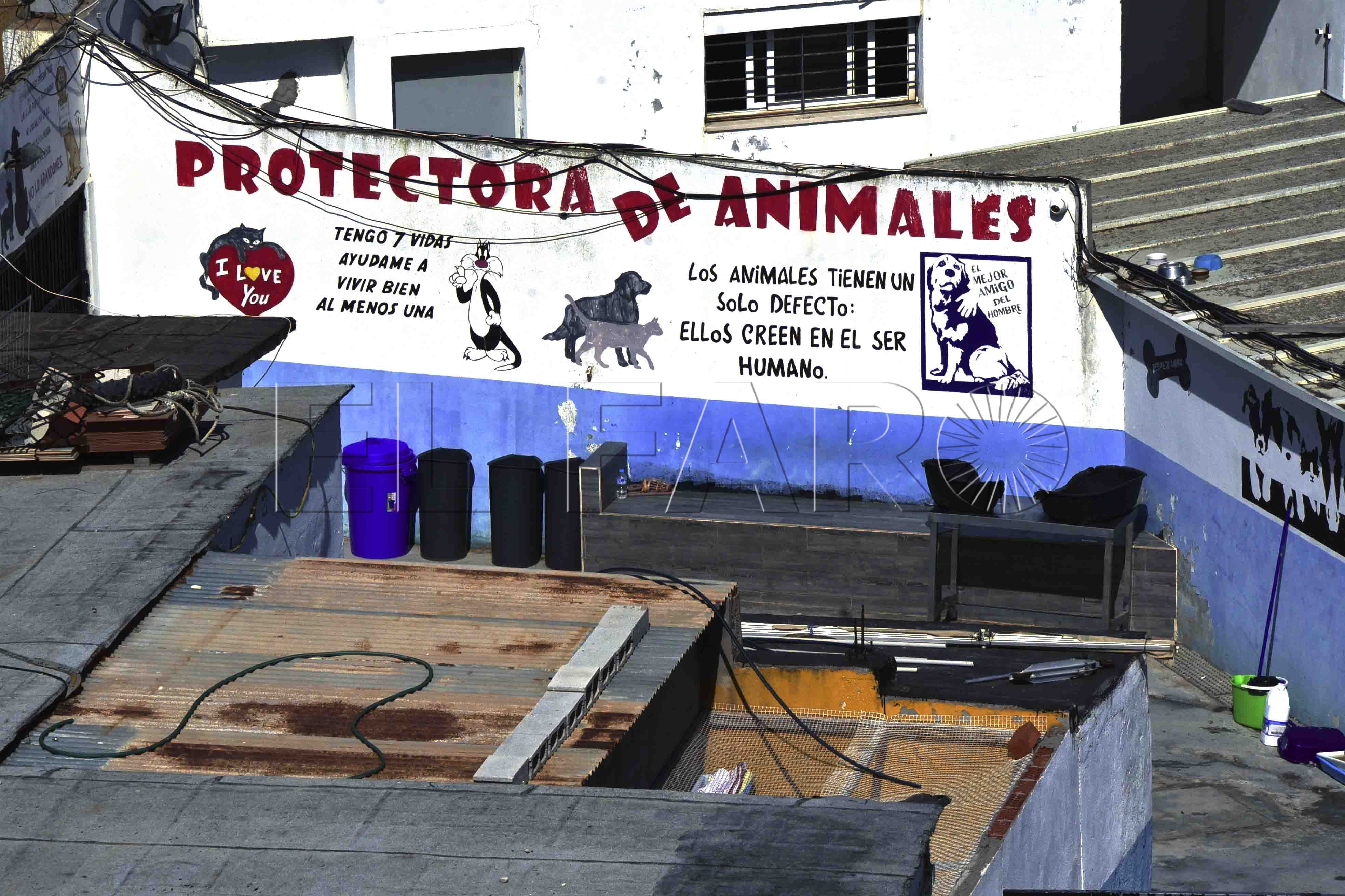 protectora-animales