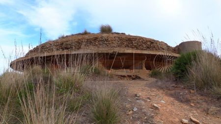 tortuga-monte--040