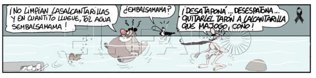 Sábado 20 de noviembre de 2021