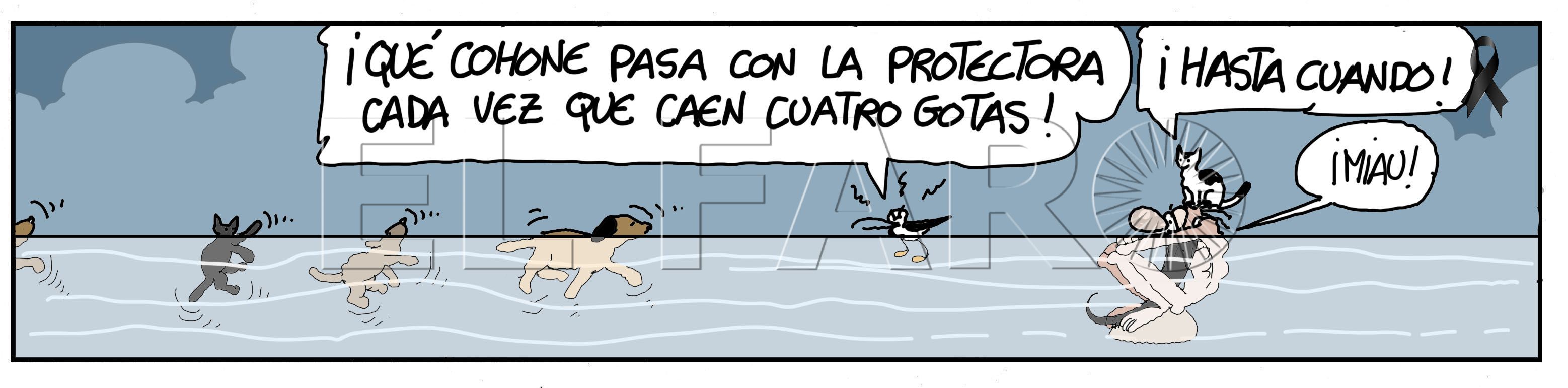 Miércoles 24 de noviembre de 2021