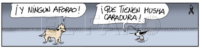 Domingo 14 de noviembre de 2021