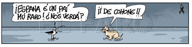 Viernes 12 de noviembre de 2021