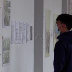exposicion-comic-paco-roca-005