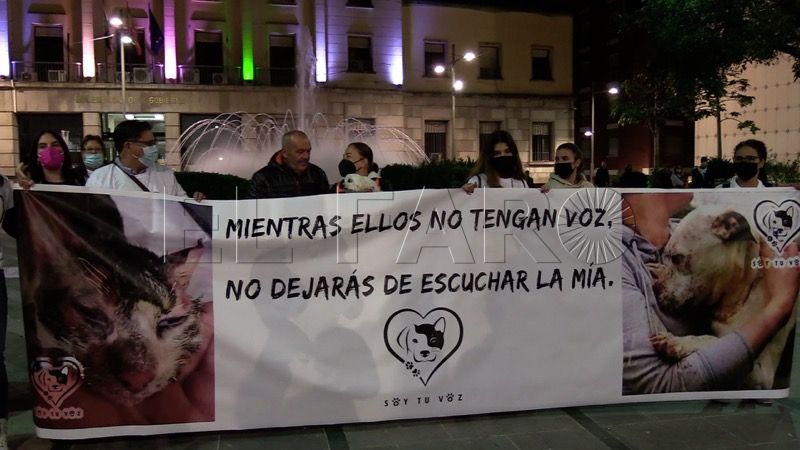 manifestacion-defensa-animales-010
