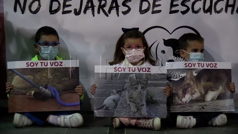 manifestacion-defensa-animales-011