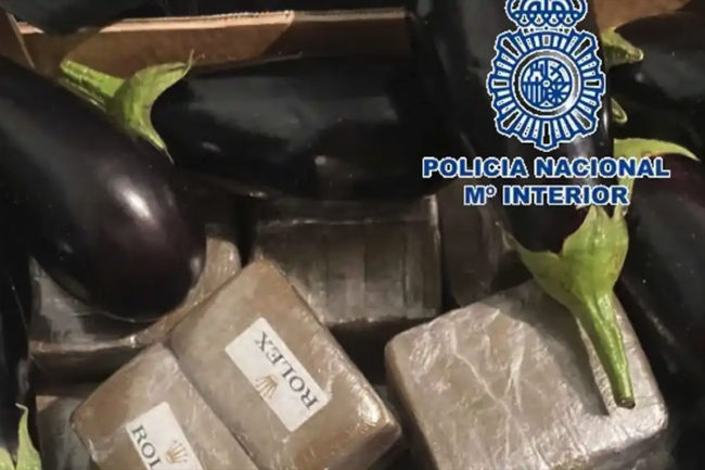 Hachís oculto entre berenjenas: la UDYCO desarticula una red de narcos