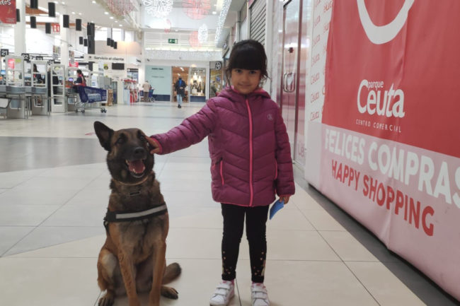 Guías caninos de la Policía y agentes para garantizar un comercio seguro