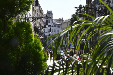 jardin-1