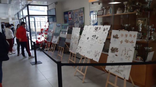 La Fundación Museo del Mar visita el ‘Clara Campoamor’ para hablar de algas invasoras