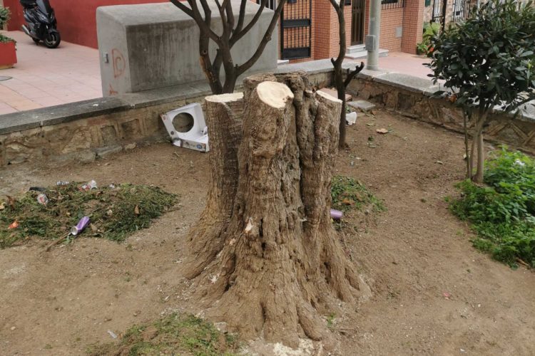 arboricidio-mixto-2