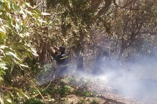 Policía y Bomberos intervienen ante un espectacular incendio en Martínez Catena