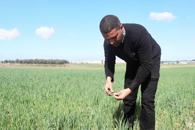 Marruecos, ante la sequía: restringir el riego y garantizar el agua a zonas rurales