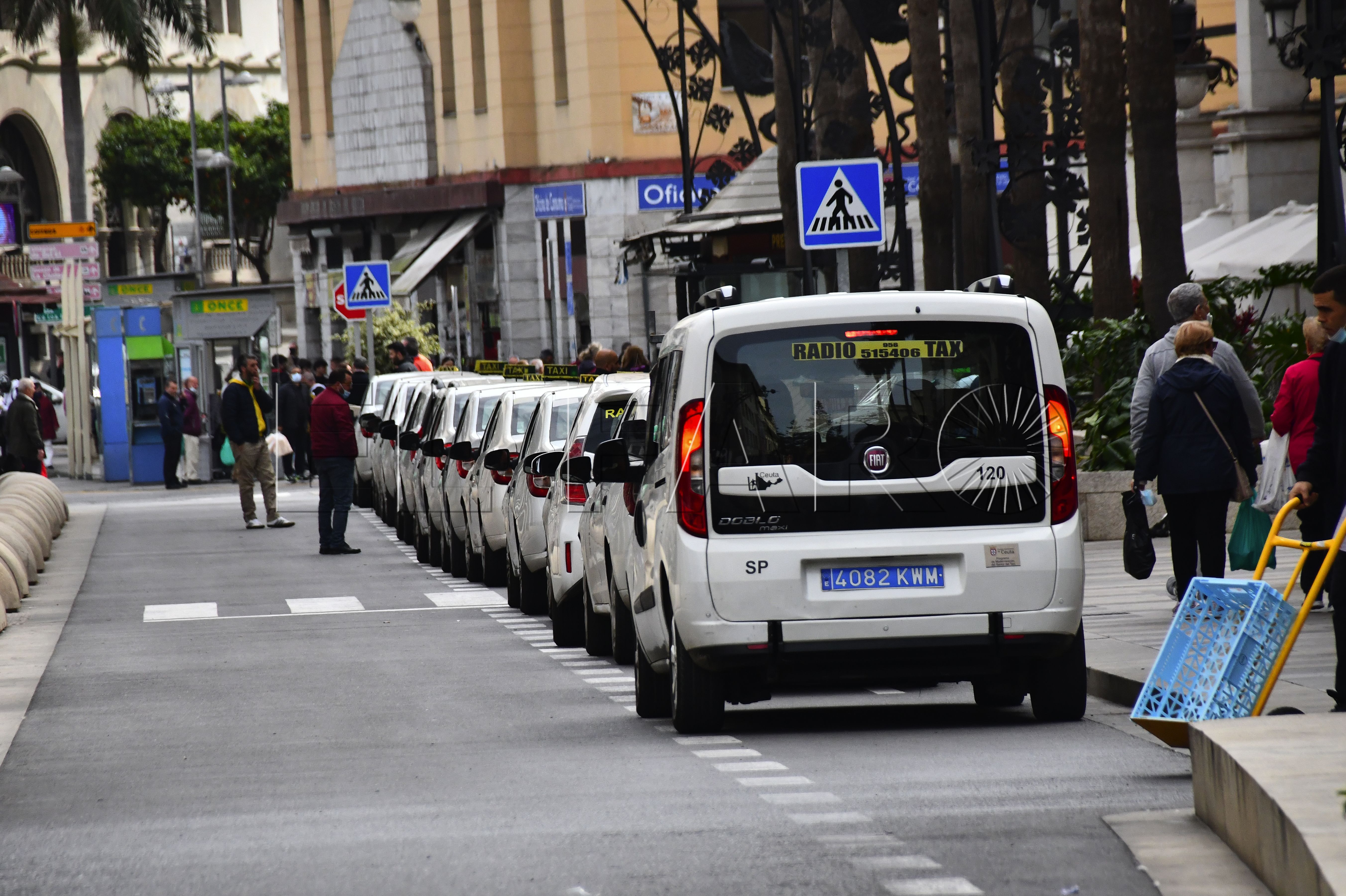 taxis