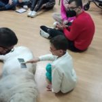 terapia-perros-colegio-san-antonio-004