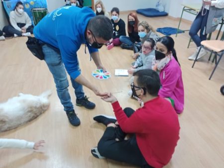 terapia-perros-colegio-san-antonio-005